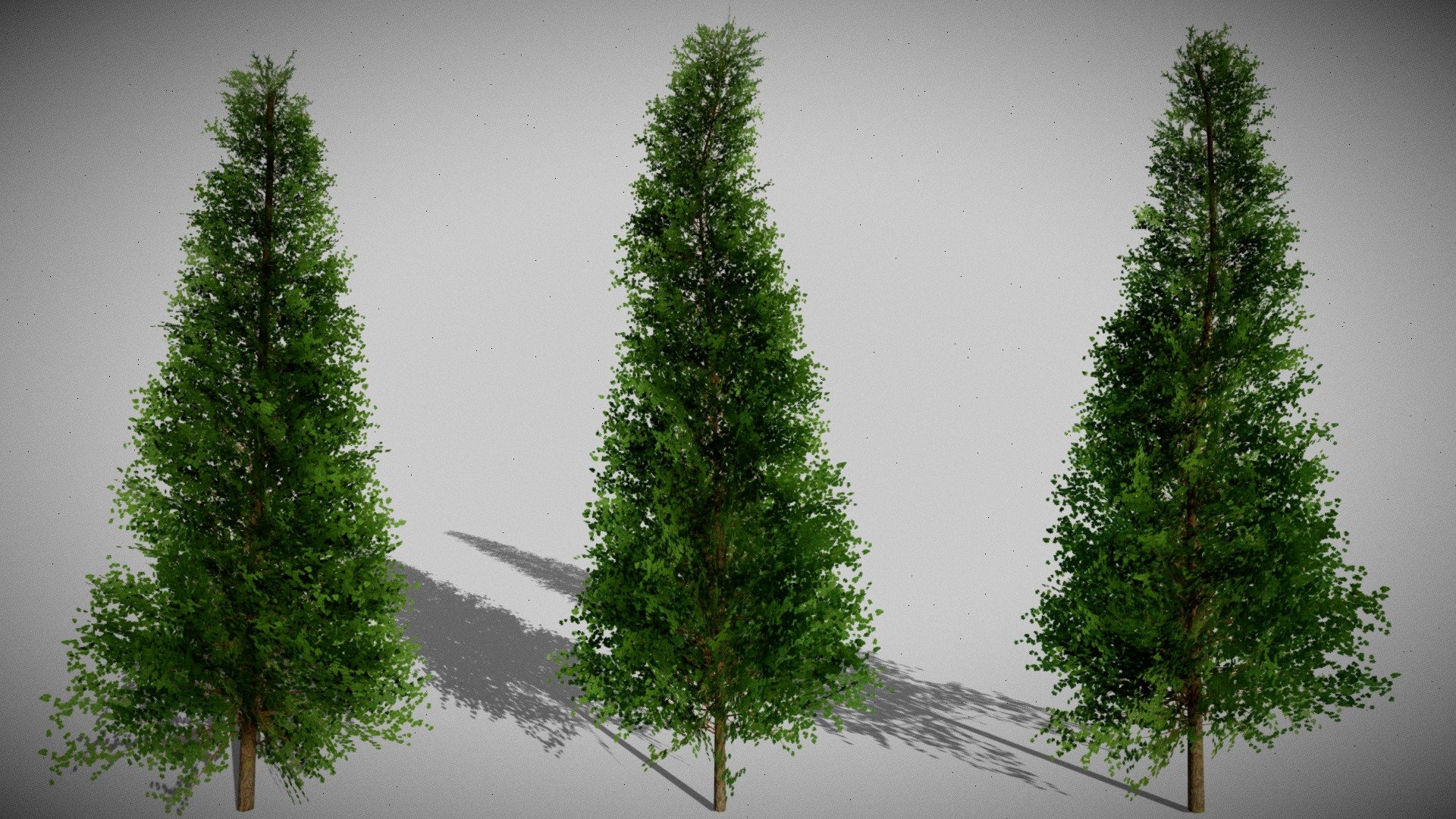 Low Poly Trees Free 3d model