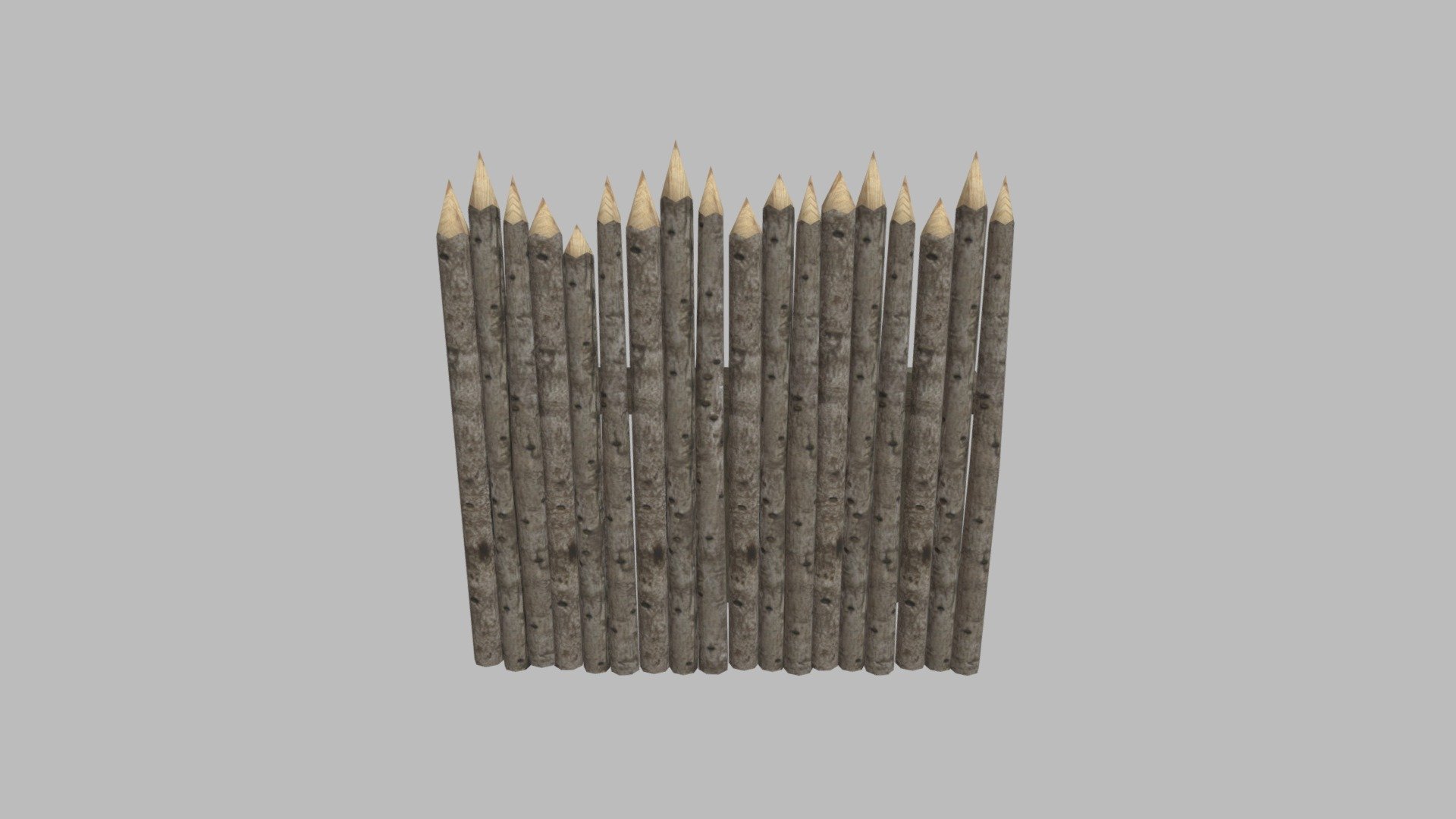 Weak Palisade 3d model