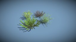 Cartoon Savanna Bushes and Shrubs 3D Model