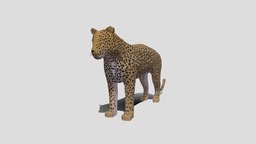 Low Poly Cartoon Leopard