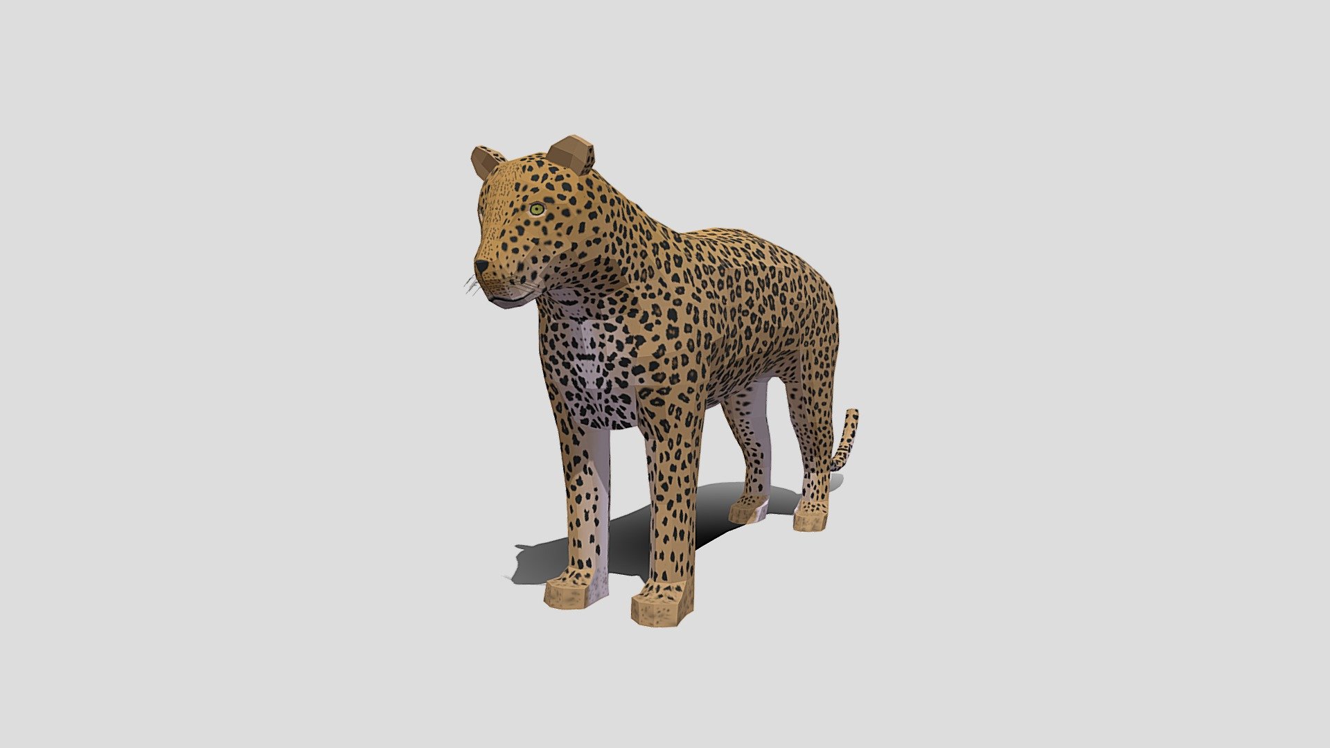 Low Poly Cartoon Leopard 3d model