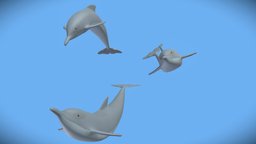 Cartoon Dolphins