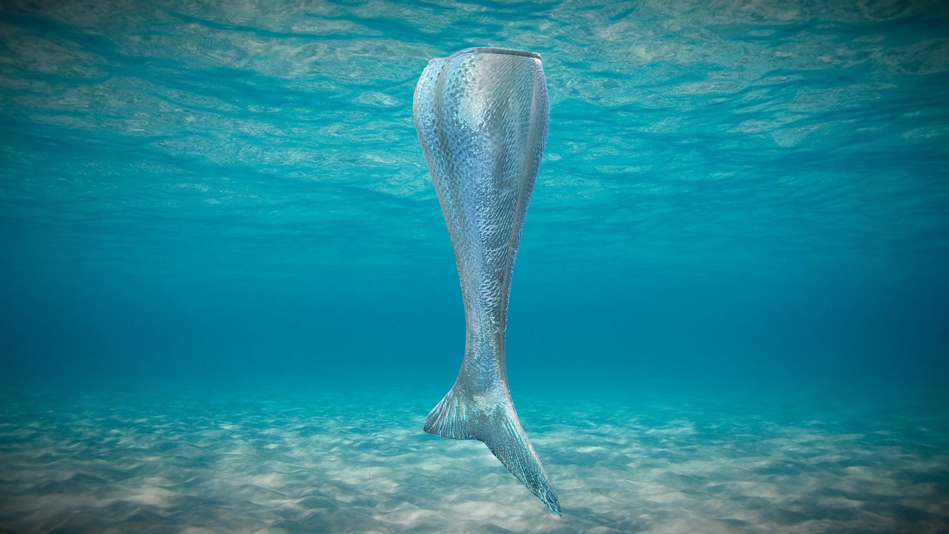 Mermaid Tail 3d model