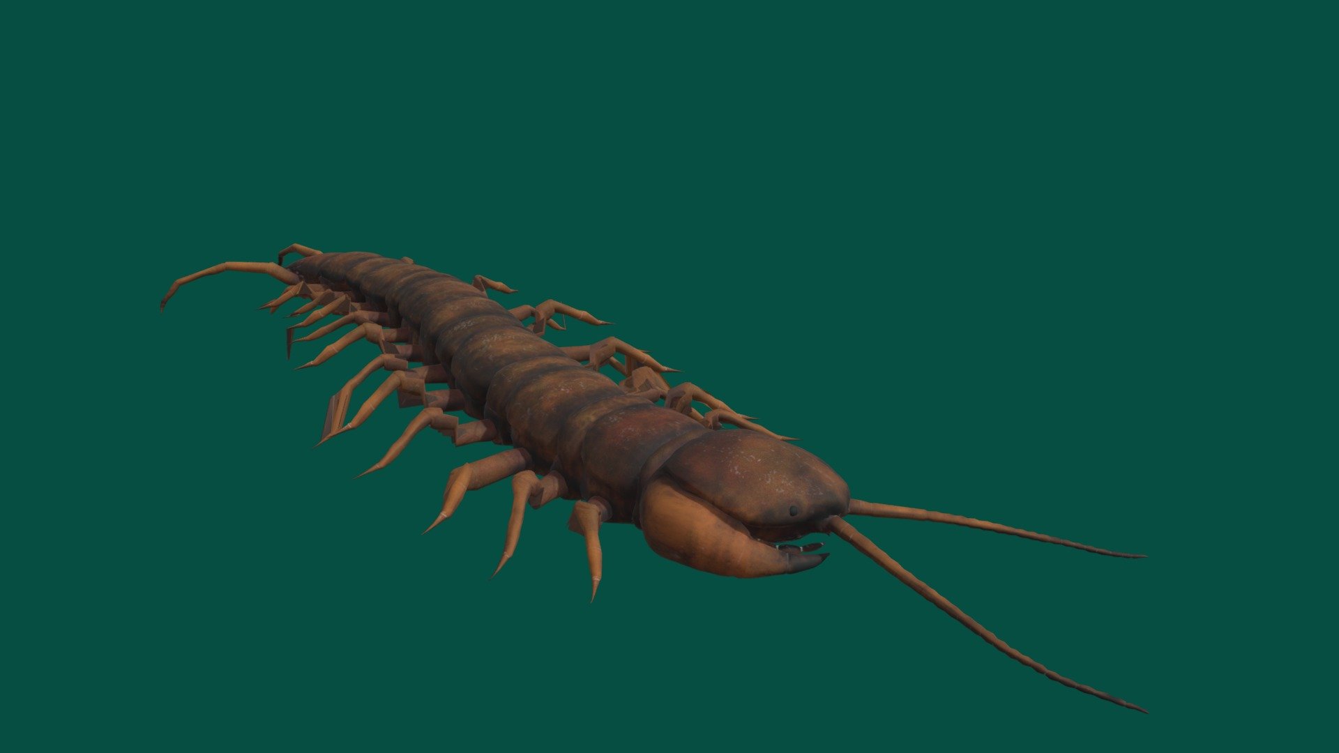 Centipede Test 2 (Non-Commercial) 3d model