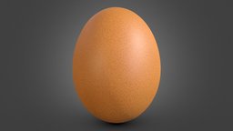 Egg