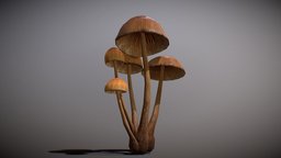 Realistic Mushroom