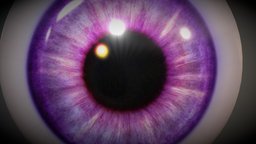 Free 3D Eye Model