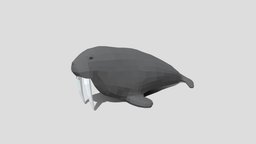 Low Poly Cartoon Walrus