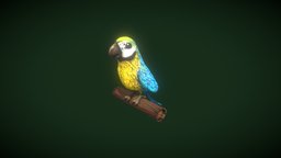 Cartoon Ara Parrot Yellow-Blue 3D Model