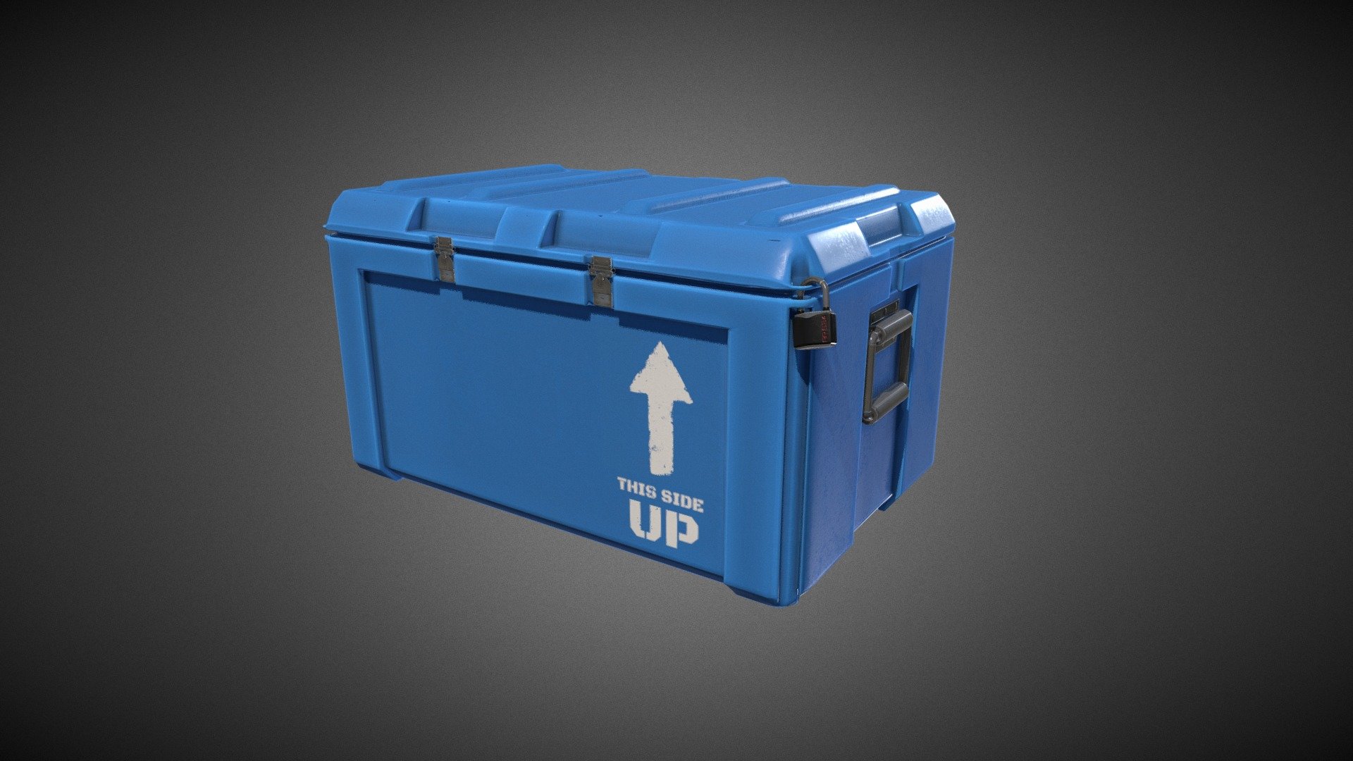 Case 3d model