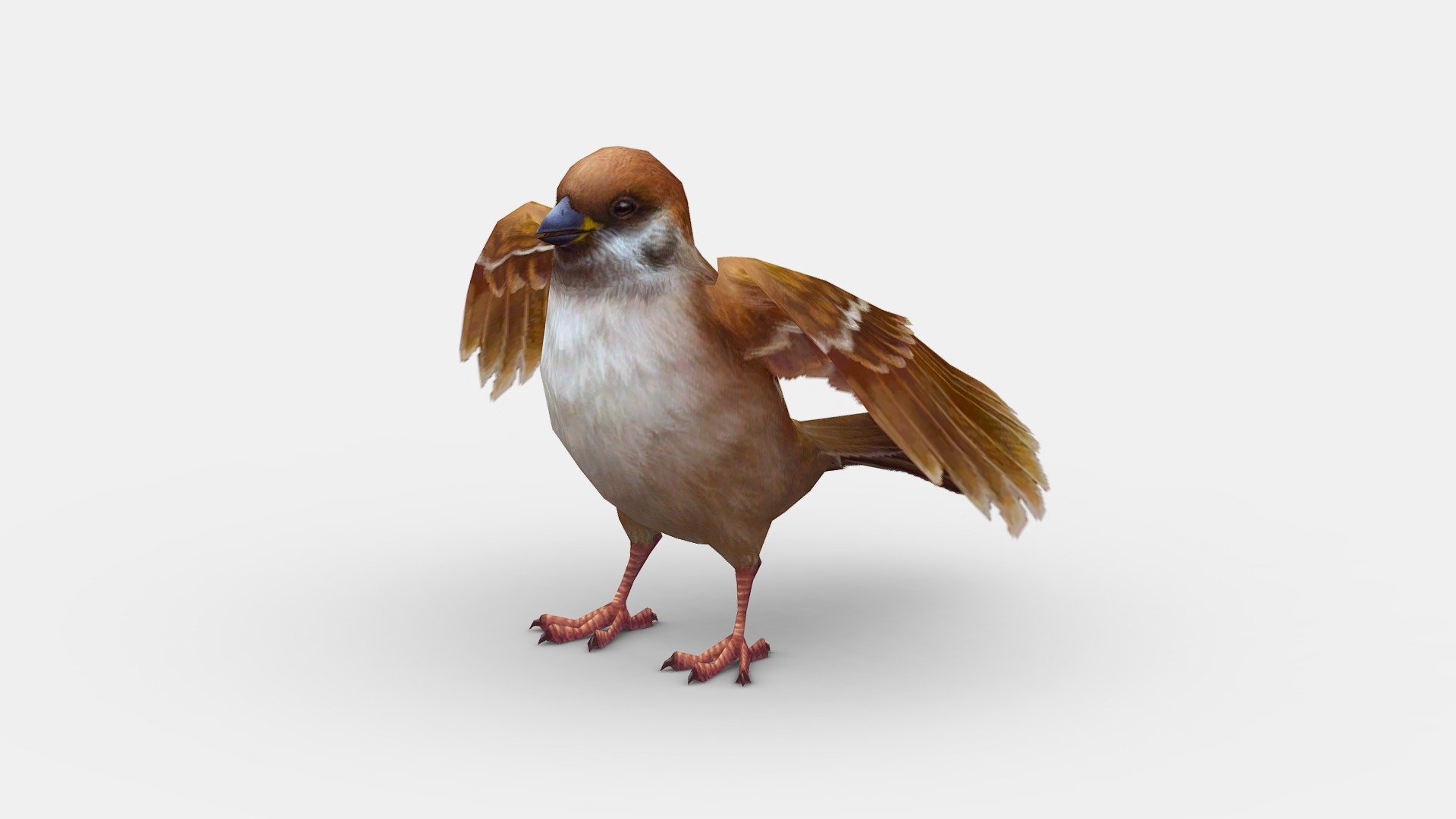 Cartoon sparrow 3d model