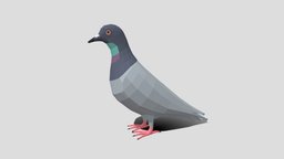 Low Poly Cartoon Pigeon