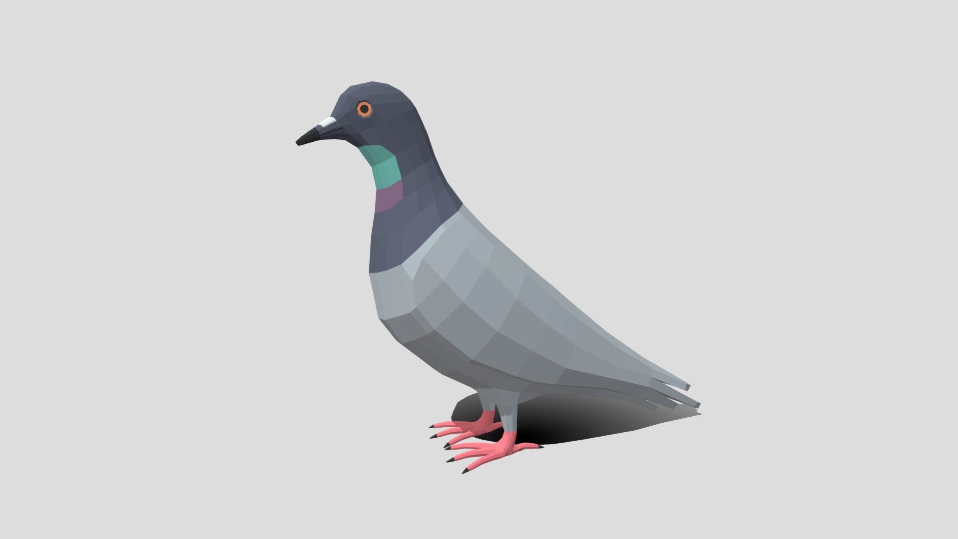 Low Poly Cartoon Pigeon 3d model