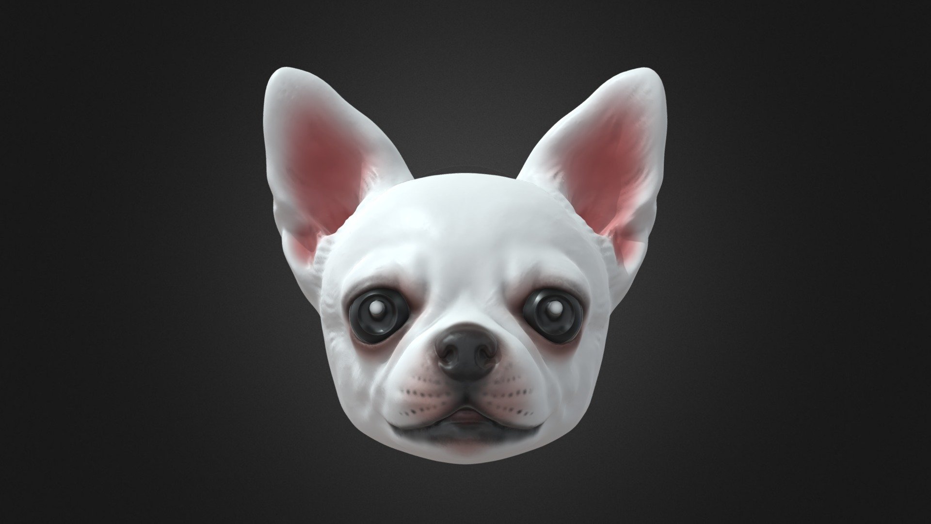 Ellen Chihuahua white 3d model