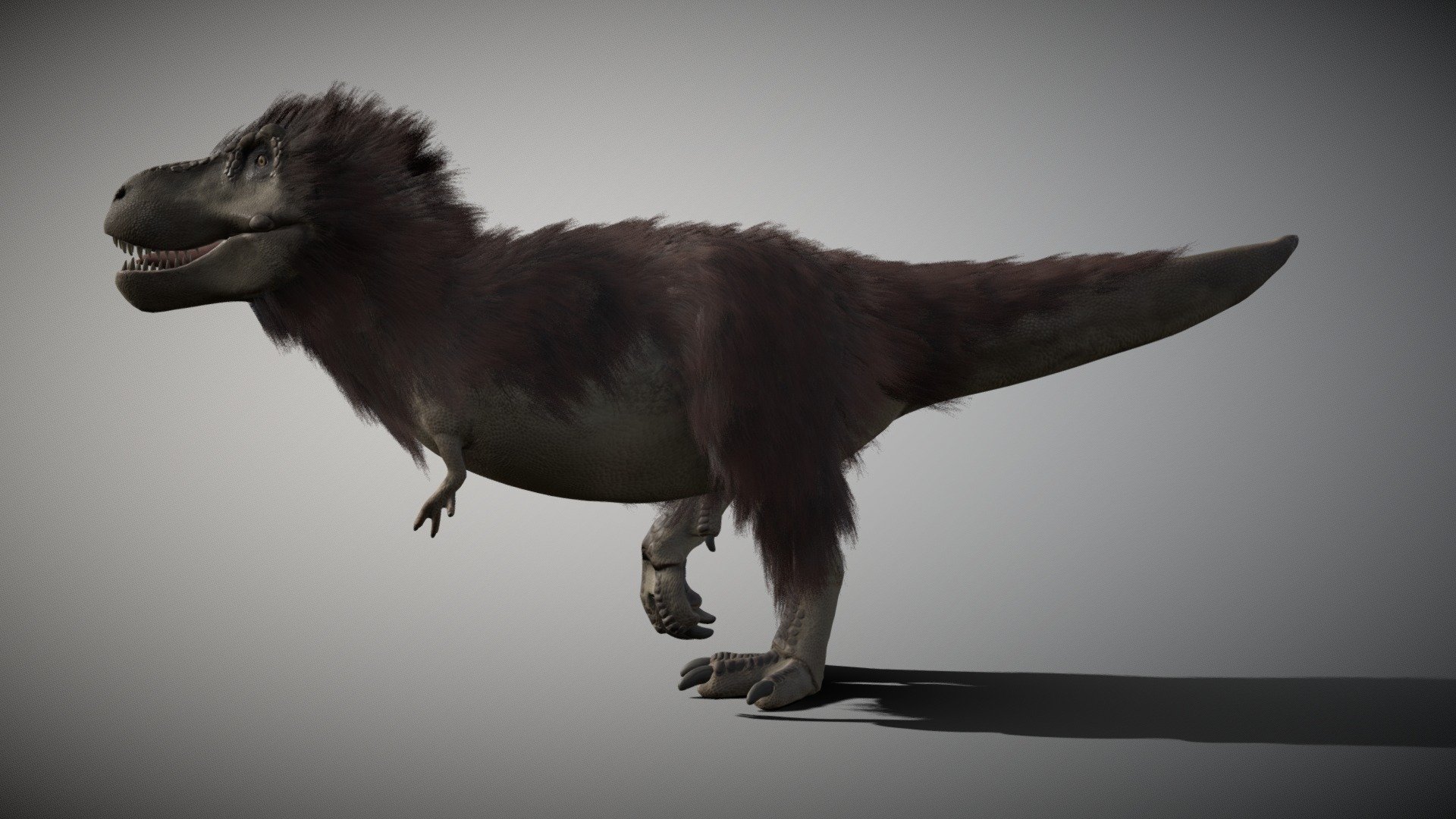 Tyrannosaurus 4.1 3d model