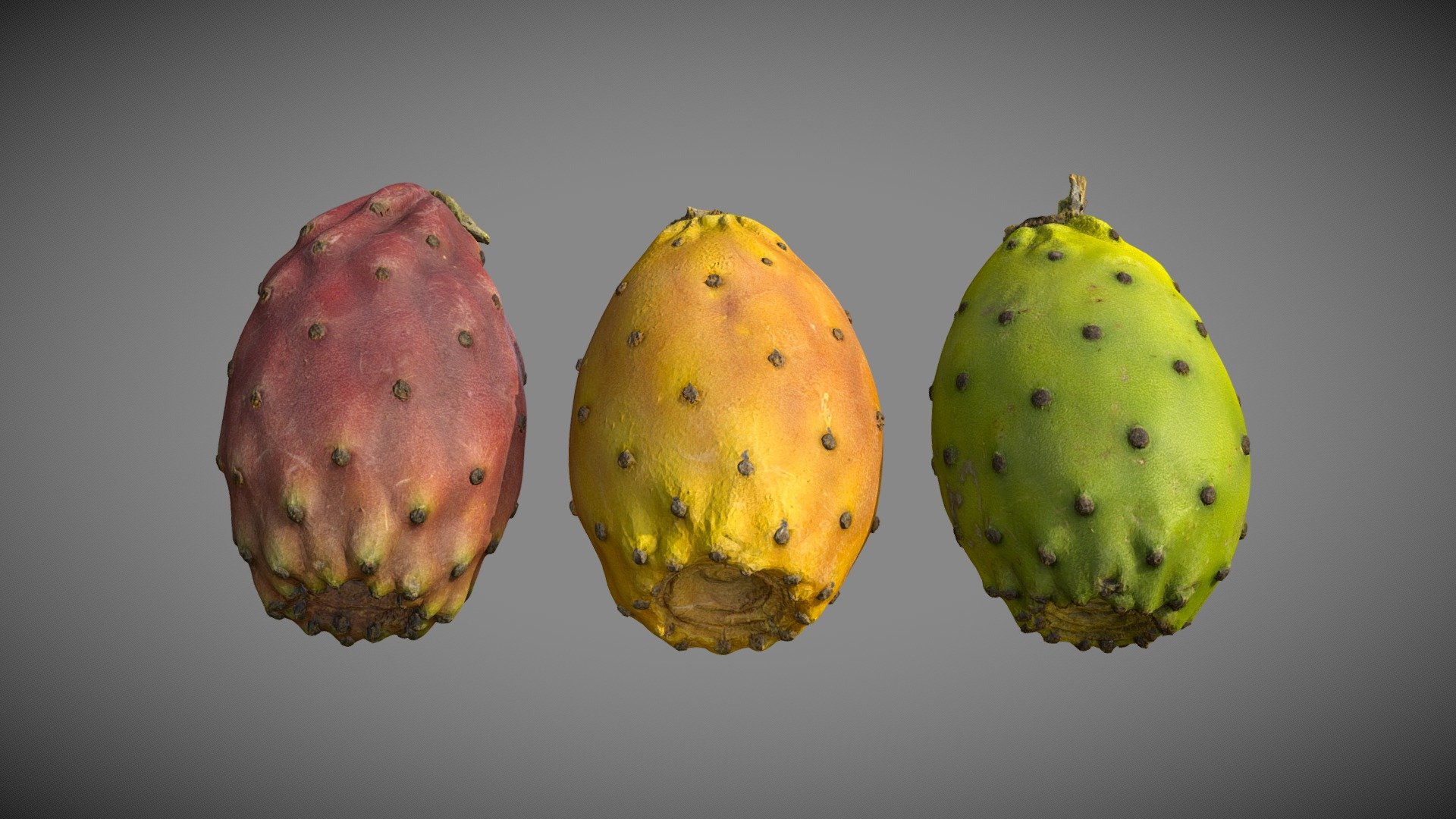 Three Prickly Pears 3d model