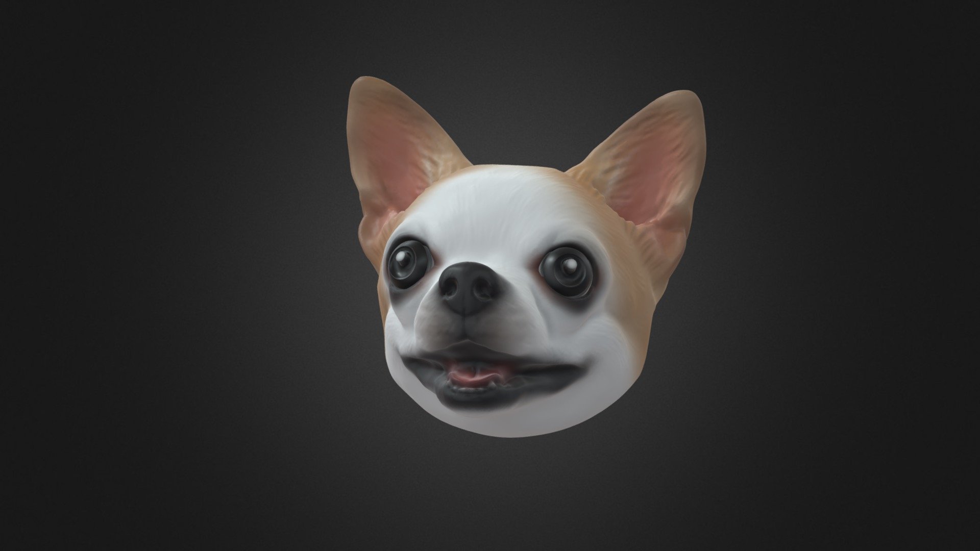 Ellen Chihuahua 3d model