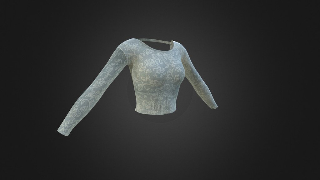 Long Sleeve Crop 3d model