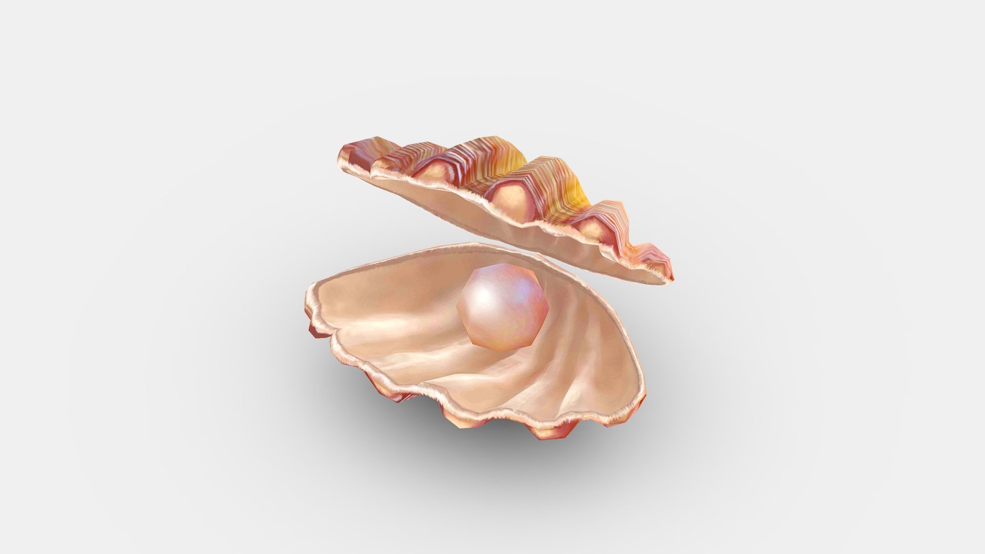 Cartoon pearl and shell 3d model