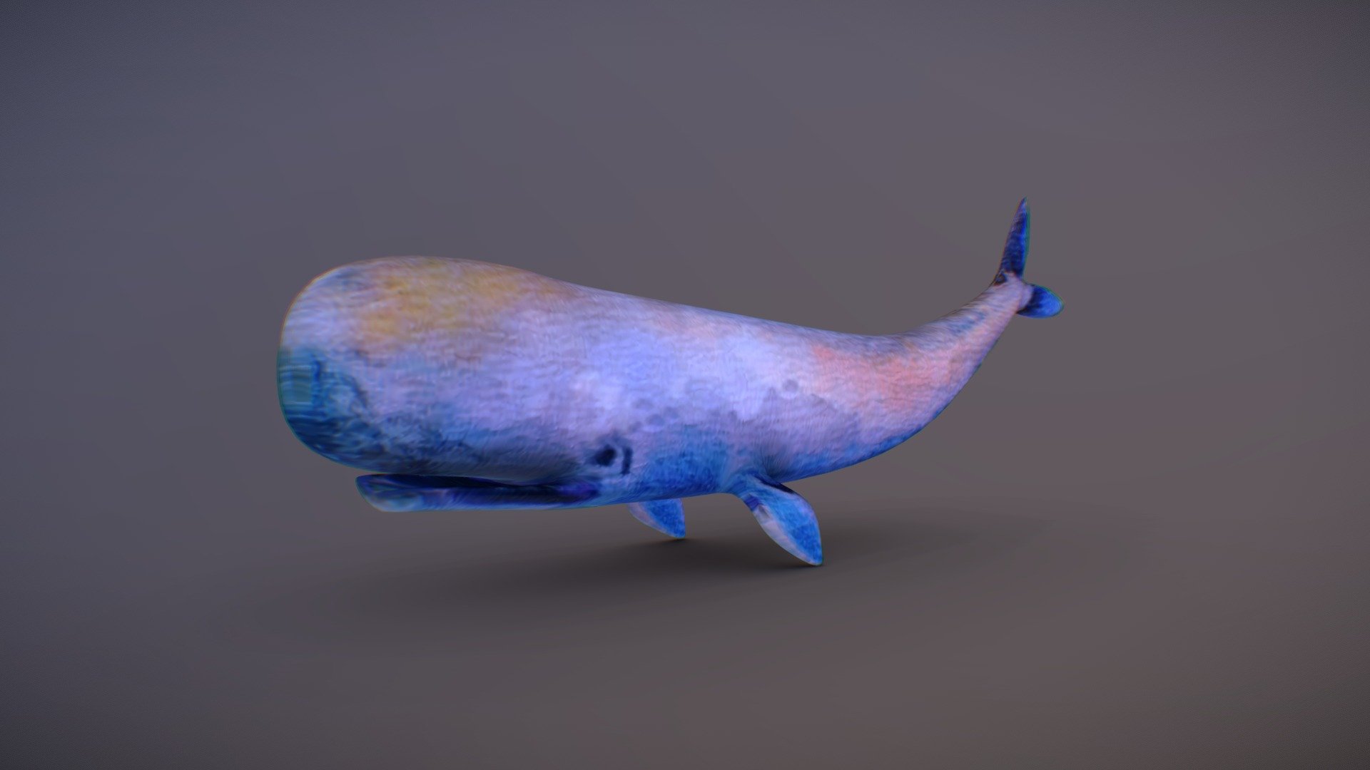 Cartoon Whale 3d model