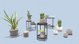 Plants pots collection vol 01