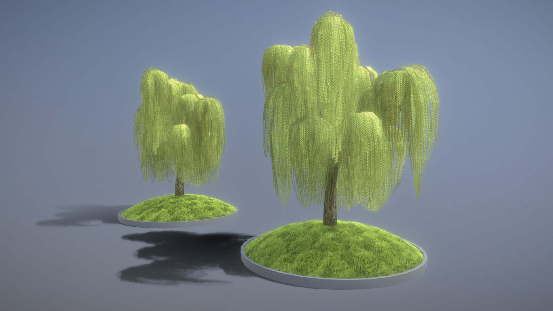 Low-Poly Silver Willow Version 5 3d model