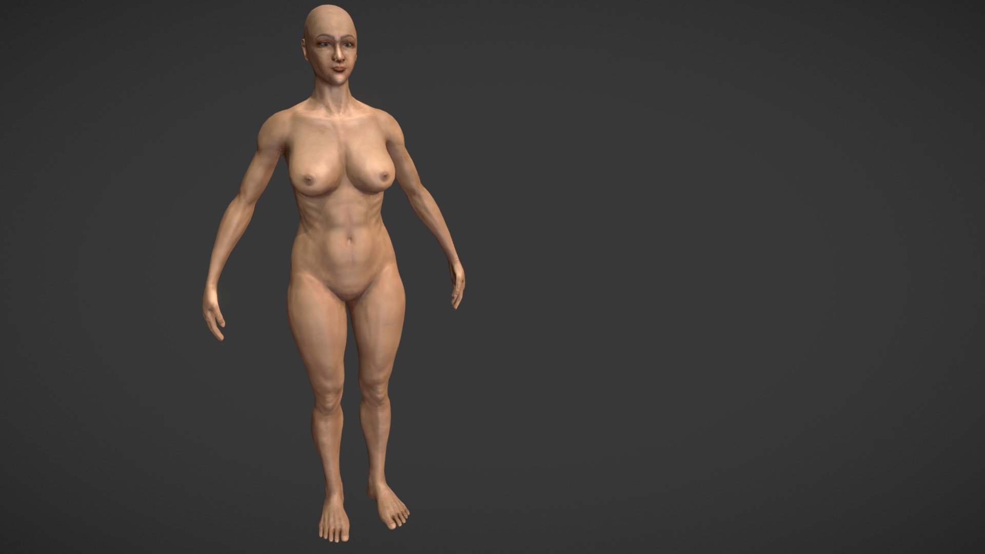 Anatomy Study (WIP) 3d model