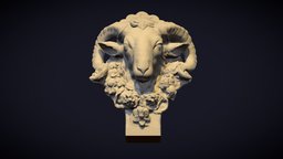 Head of a Ram