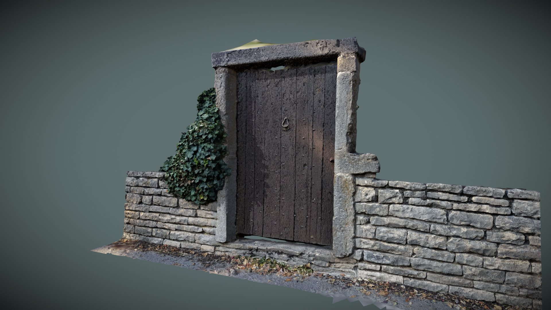 Old door 3d model