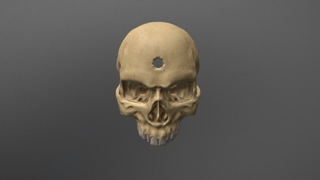 Bullet Realm Skull 3d model