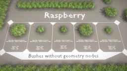 Rasberry Bushes and Hedges (Low-Poly)