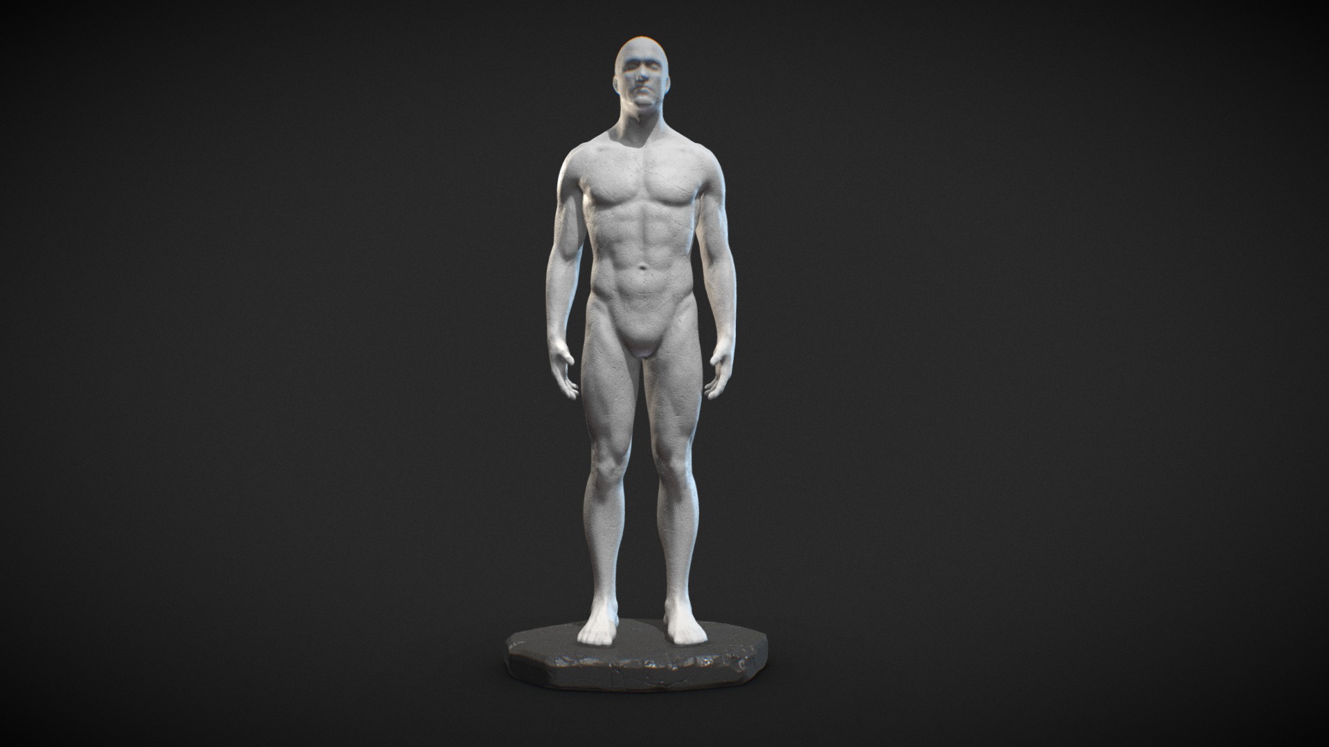 Male Anatomy Statue 3d model