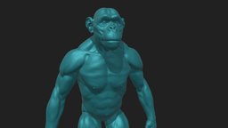 Monkey to print