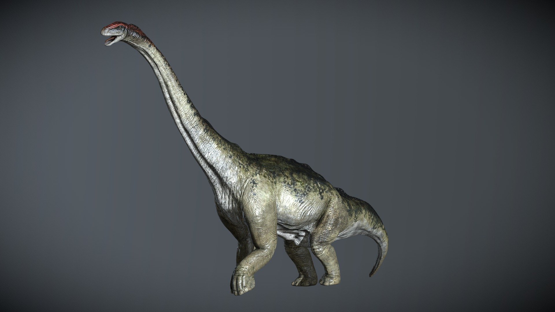 brontosaurus 3D Rigged model 3d model