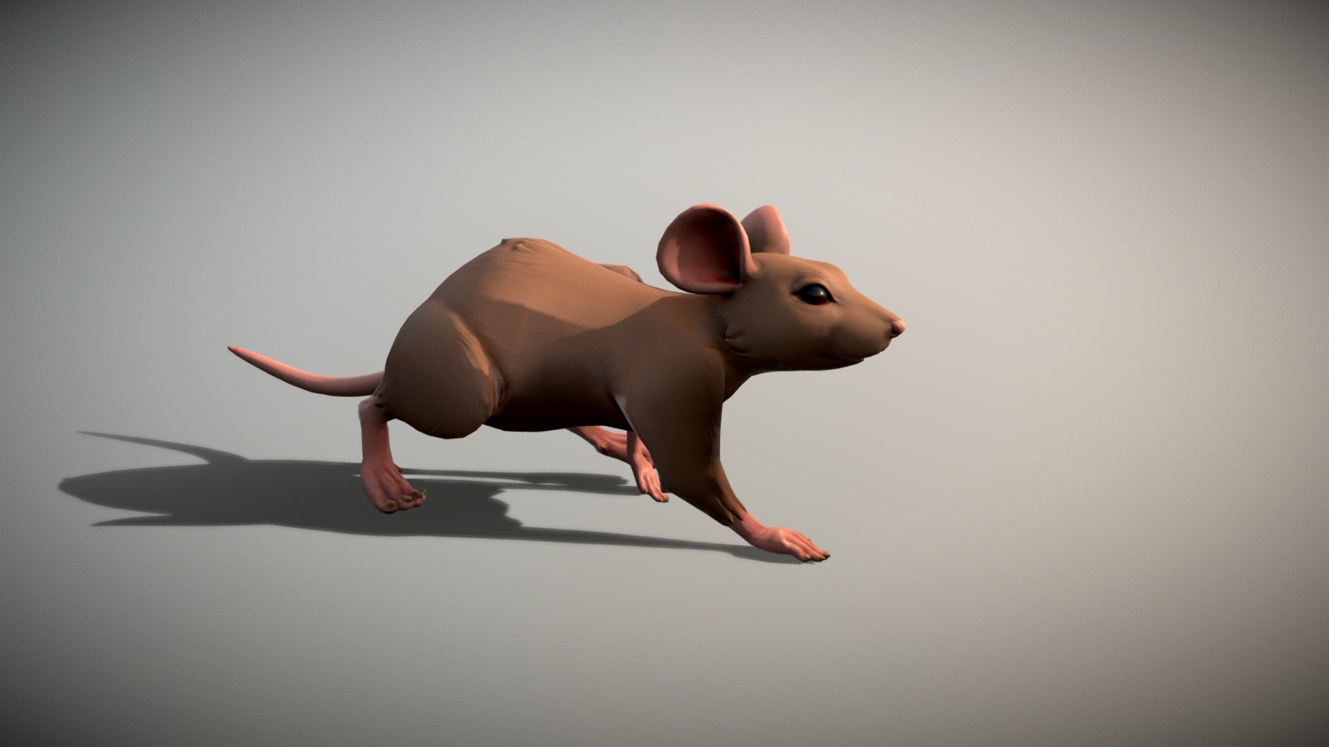 Mouse 3d model