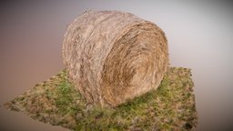 Bale of Hay