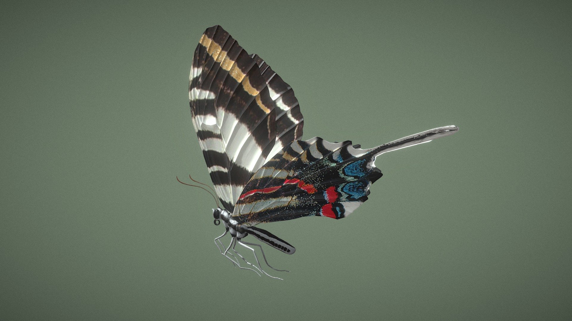 Butterfly Photographium Marcellus 3d model