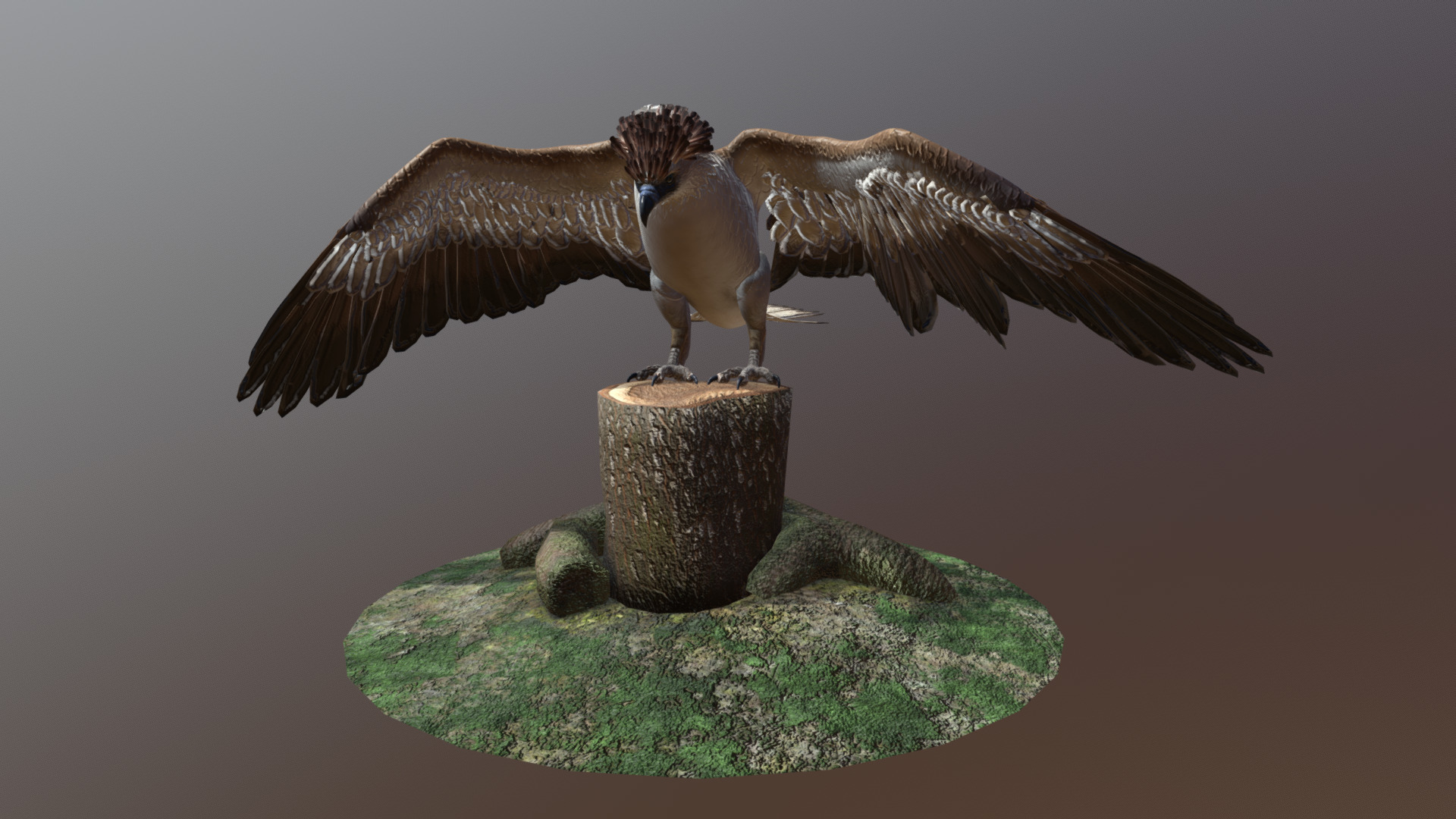 Philippine Eagle V3 3d model