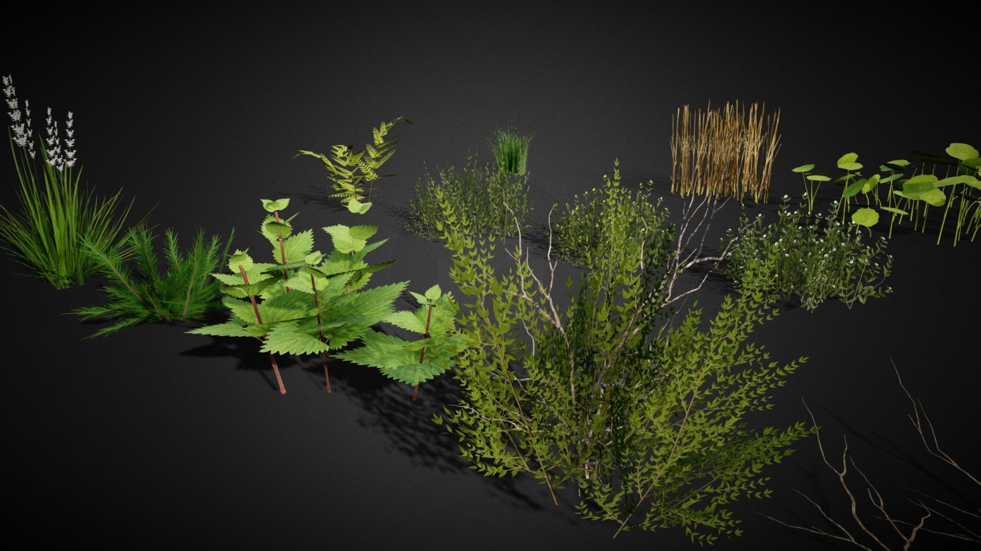 Ground Cover Foliage Asset Pack 3d model