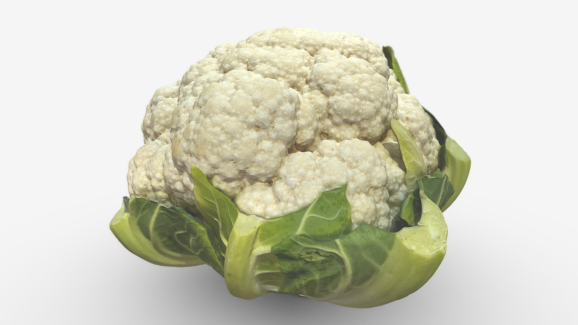 cauliflower (カリフラワー) 3d model