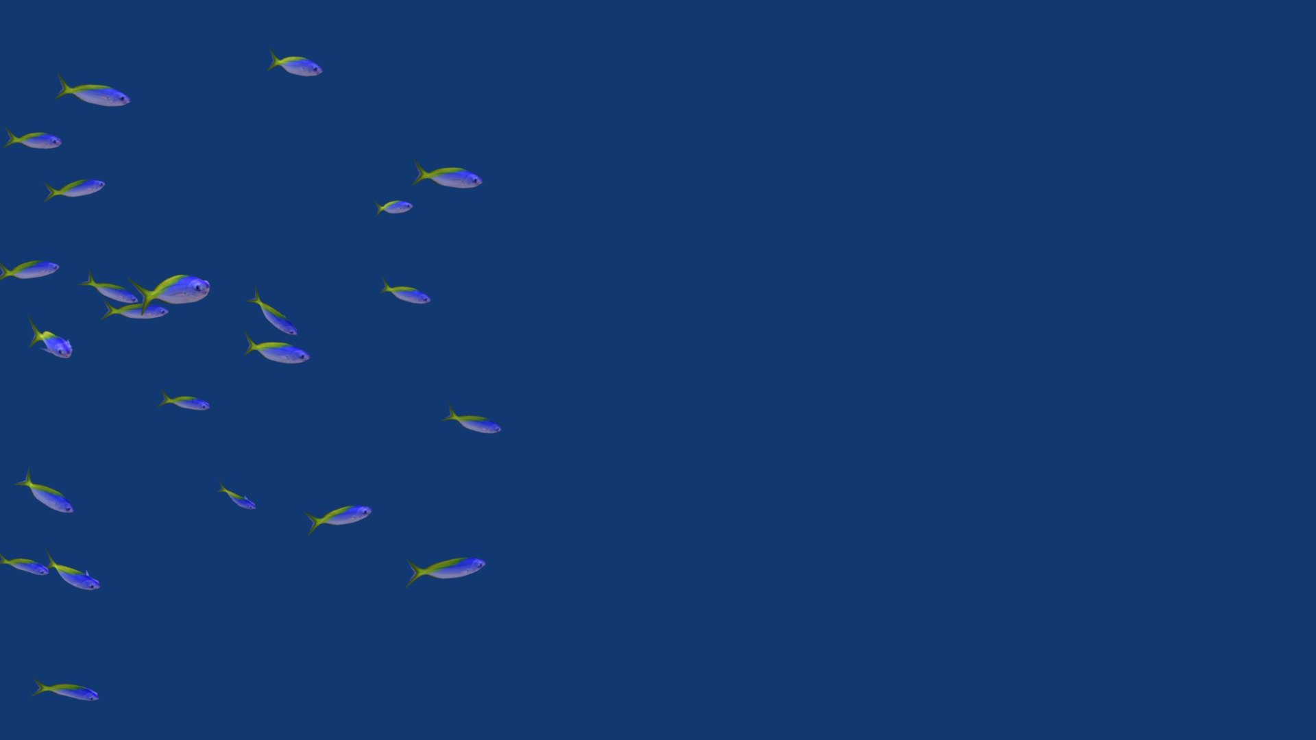 Fusiliers Schooling Fish 3d model