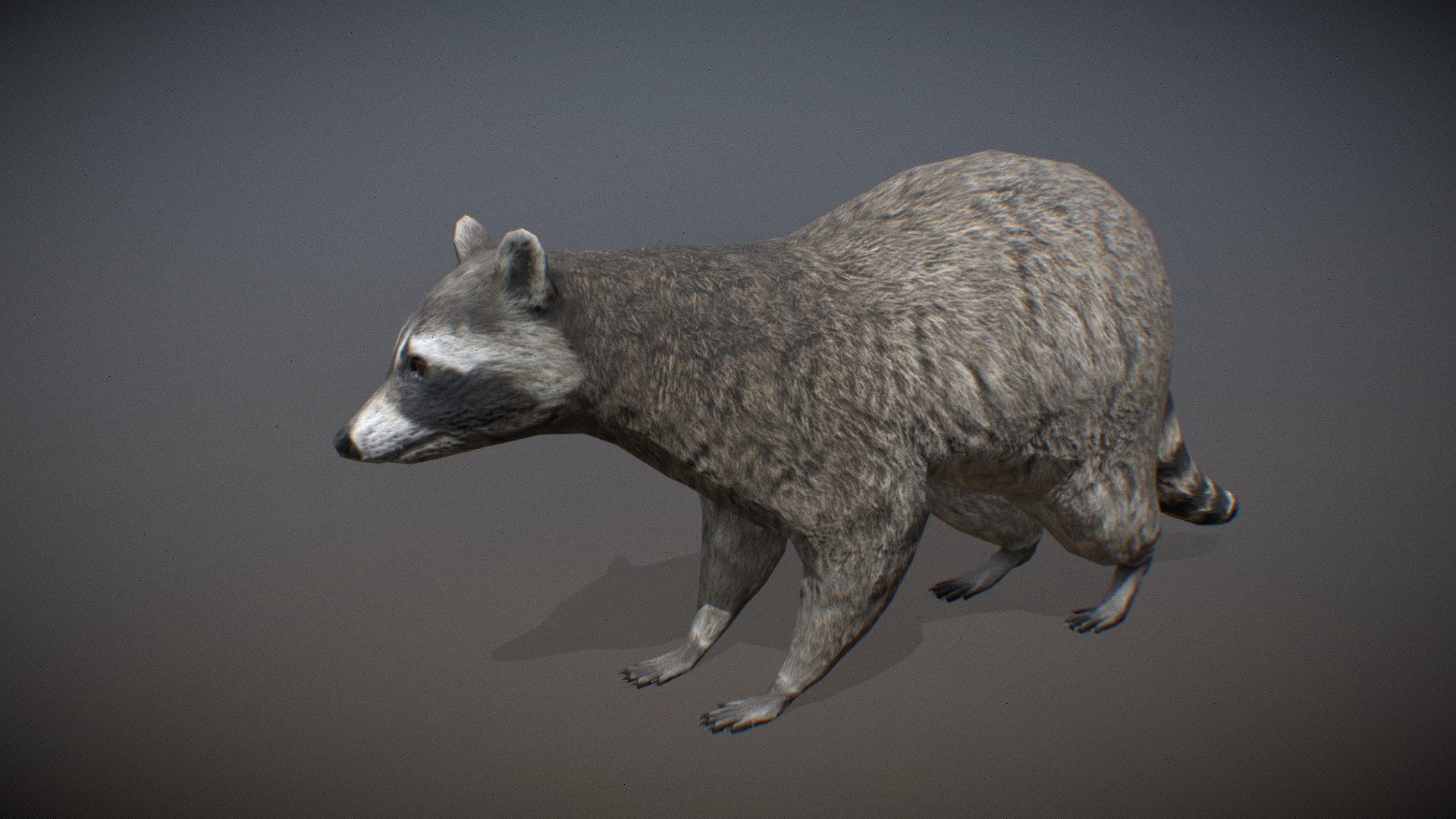 Animalia 3d model