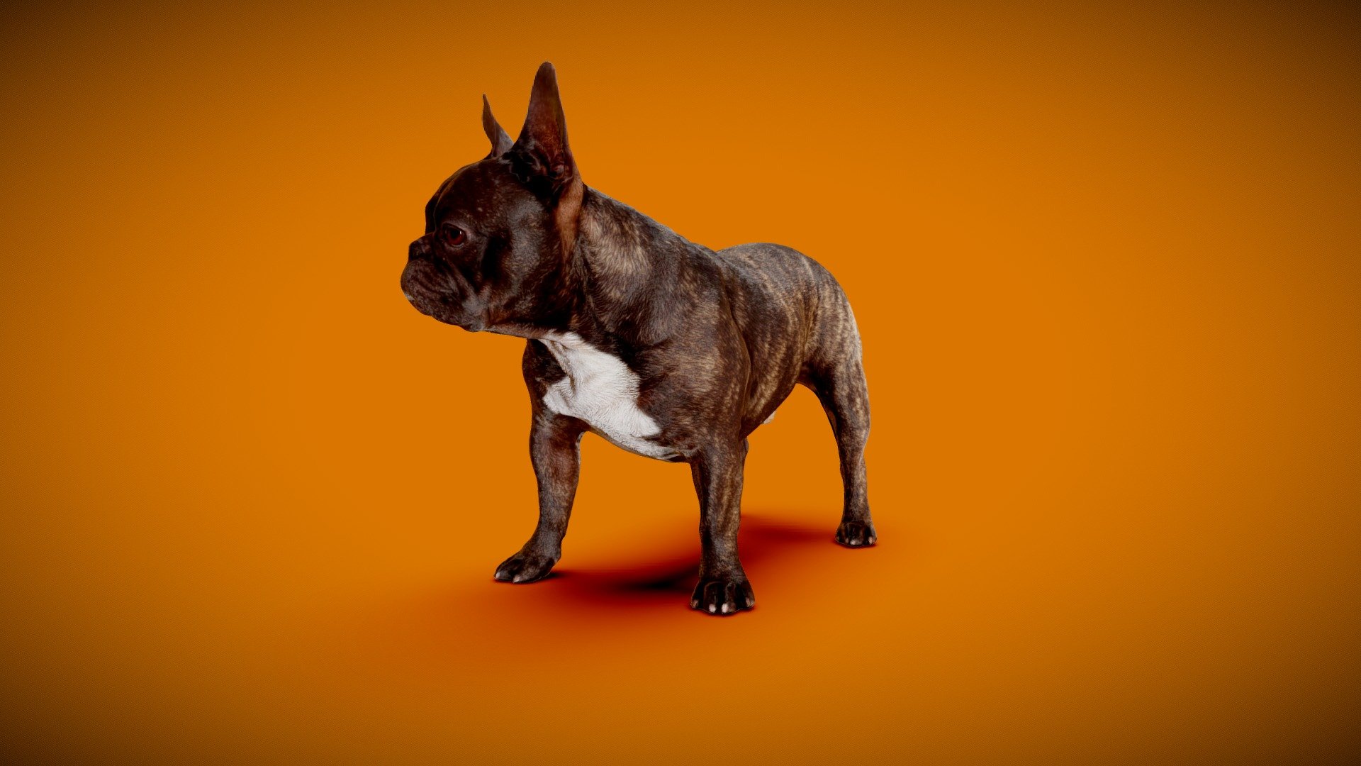 DOG B 3d model