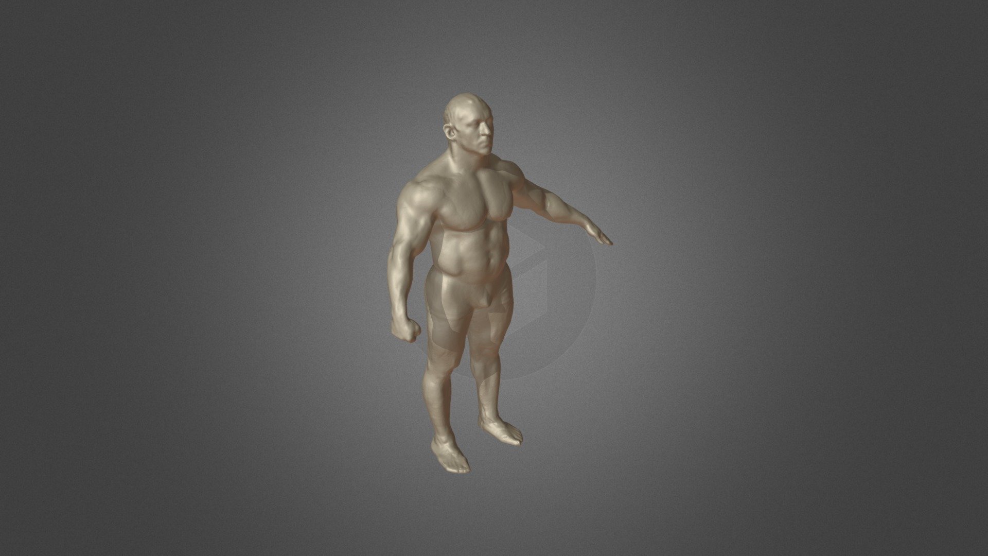 Bodybuilder 3d model