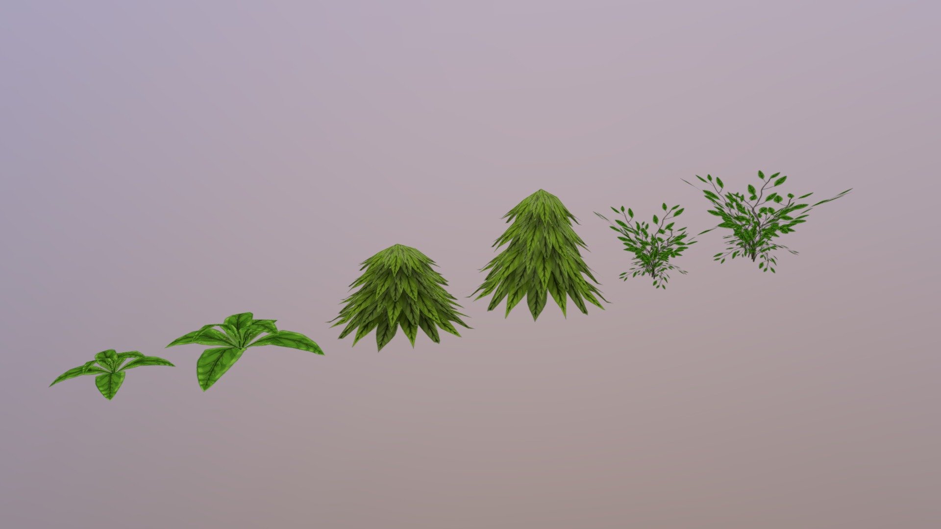 Hand Painted Plants 3d model