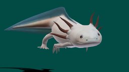 Axolotl (Low Poly)