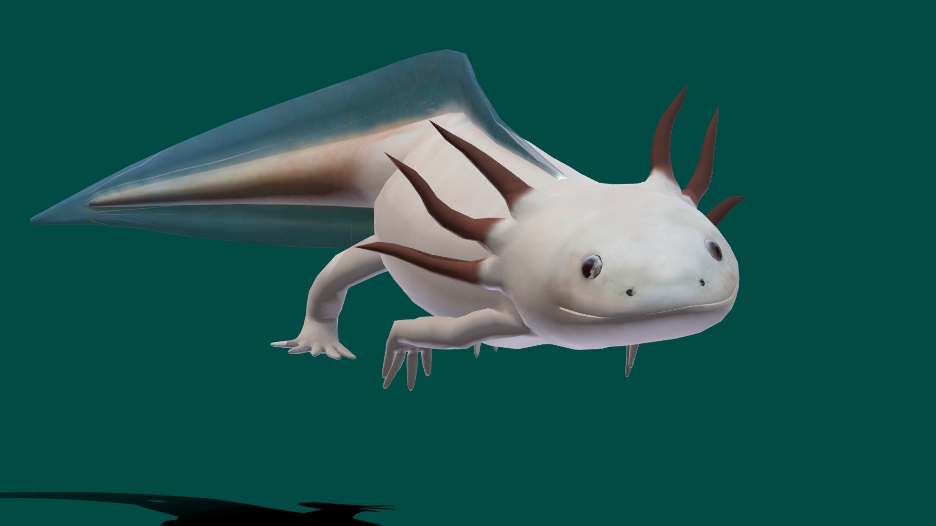 Axolotl (Low Poly) 3d model