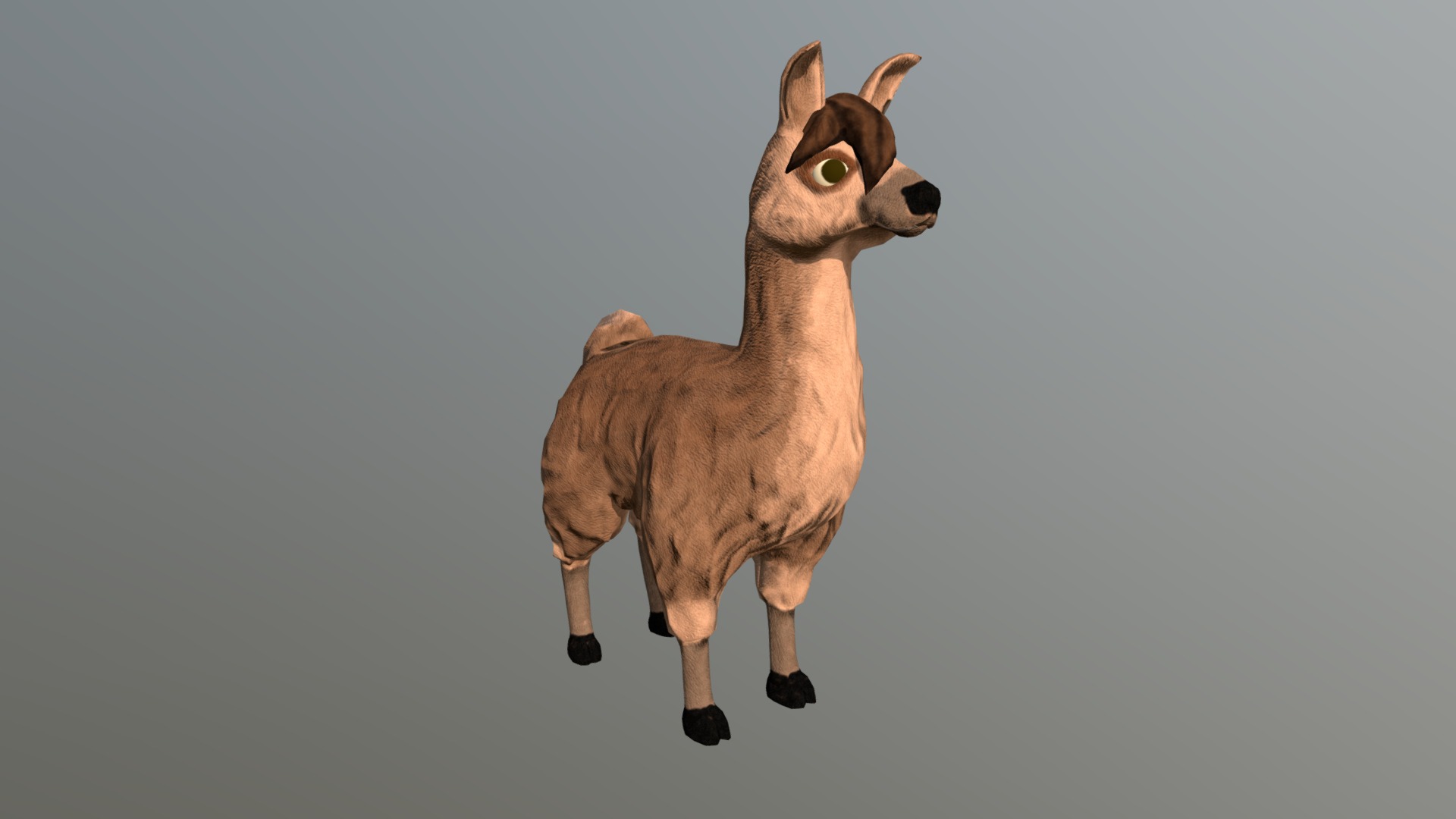 Lama 3d model