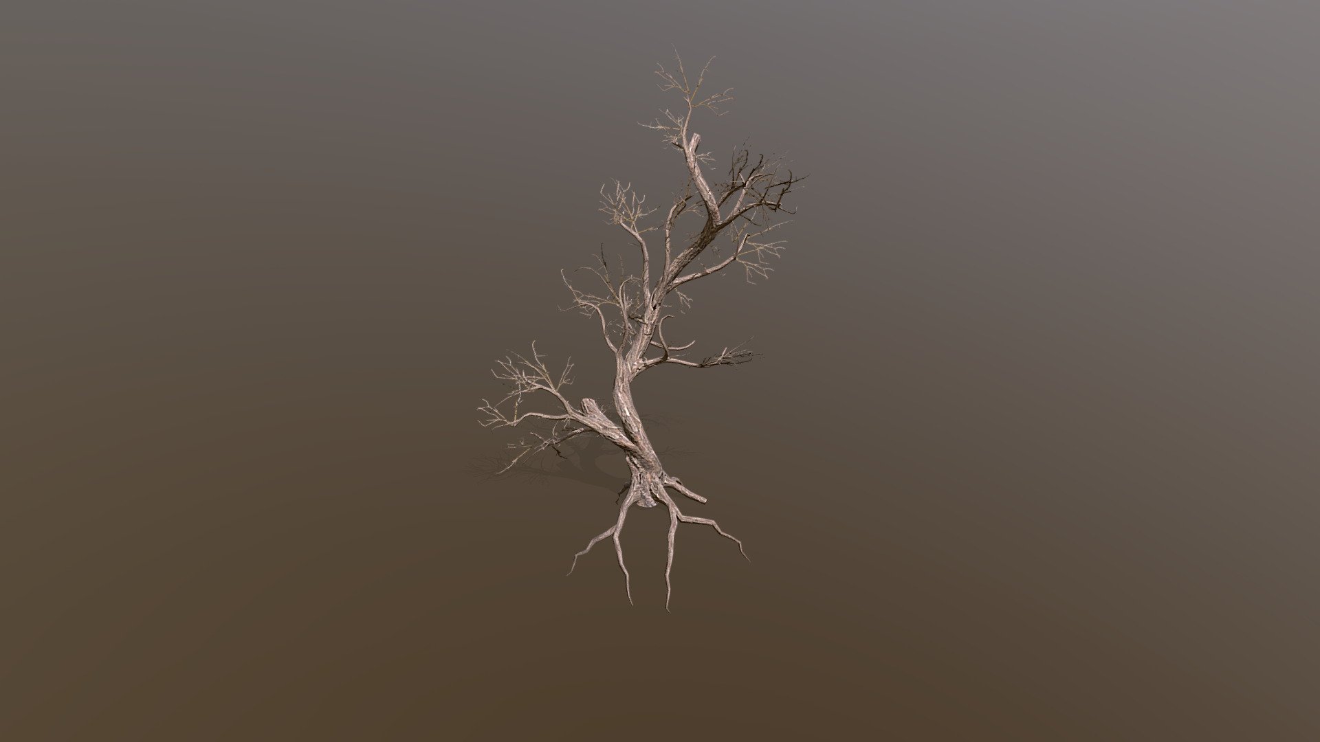 Old tree 3d model