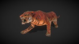 Animals: Tiger